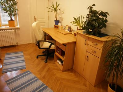 Psychotesty pro řidiče Praha – Mgr. Petra Meisnerová foto 2