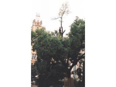 Ing. Luboš Fendrych foto 2