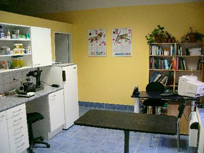 Veterinární klinika zelená liška foto 3