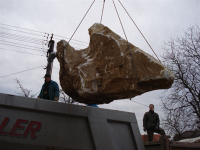 Zahradnictví Maděránek foto 3