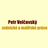 logo Petr Velčovský