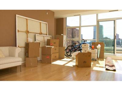 STĚHOVÁNÍ MRAVENEC foto 4