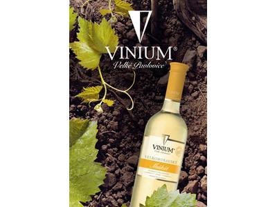 VINIUM, a.s. foto 4
