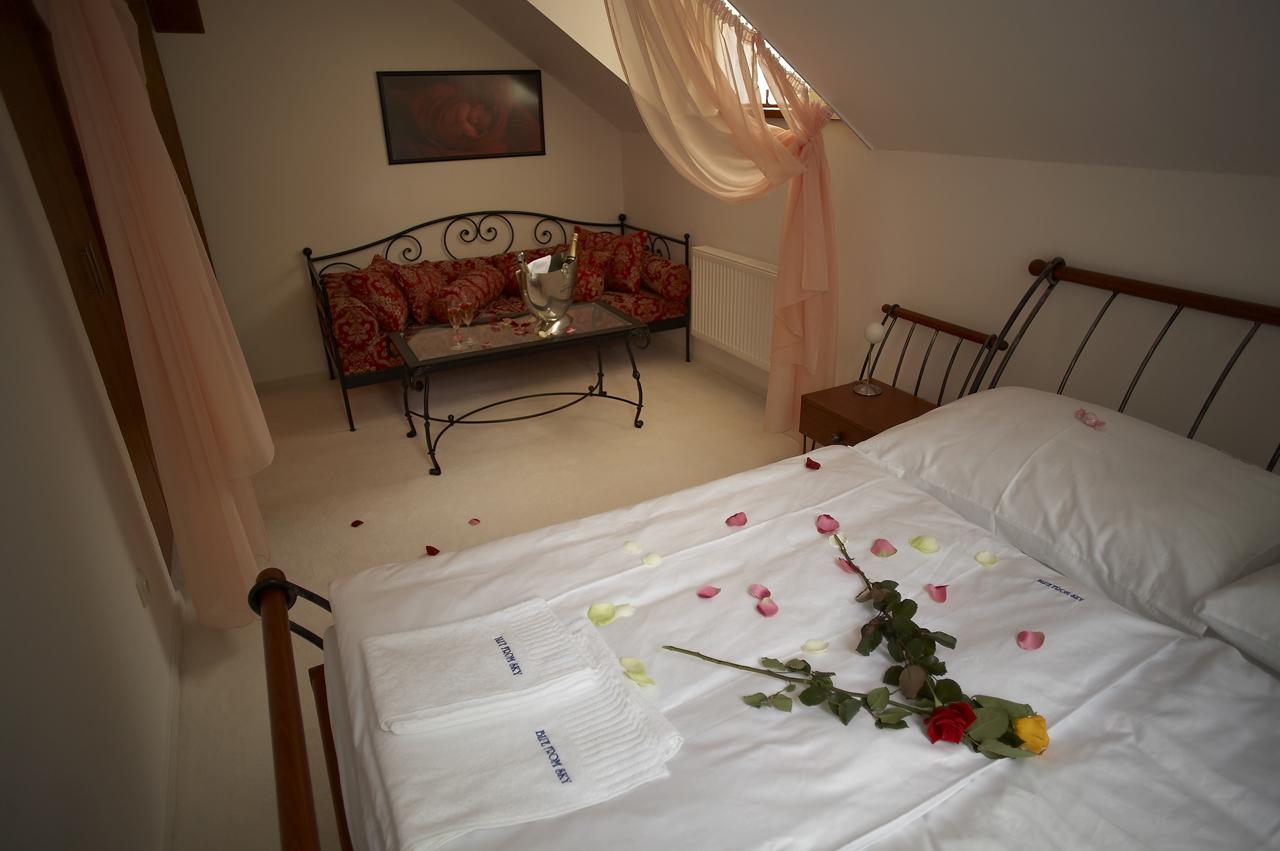 Pension Konopiště**** Superior Class foto 3