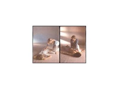 RNDr. Jarmila Riegerová, CSc., REIKI foto 2