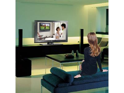 Vector International foto 5