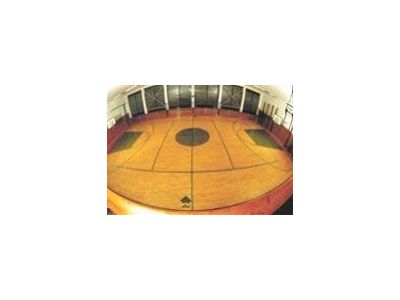Schenk - sportovní povrchy, spol. s r.o. foto 4