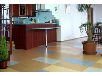 Podlahy Interier Hylena foto 2