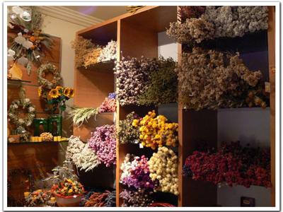 Pražská růže - Kateřina Poličová foto 4