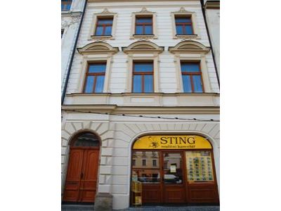 STING Reality foto 2