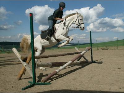 Stáj Fryšavský dvorec foto 3