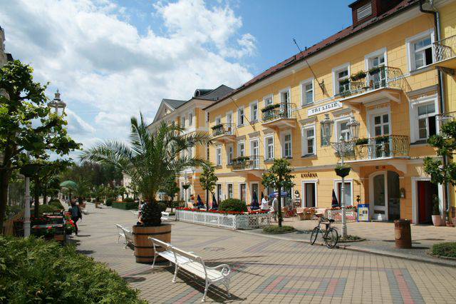 Boutique & Spa hotel Tři lilie ****