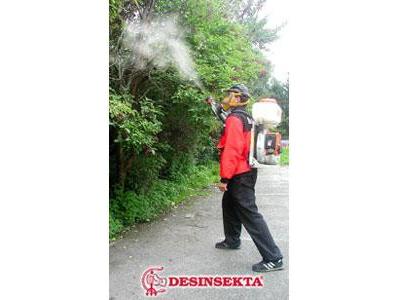 DESINSEKTA,s.r.o. foto 4