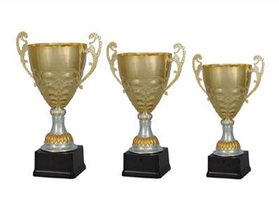 SPORTOVNÍ POHÁRY s.r.o. foto 2