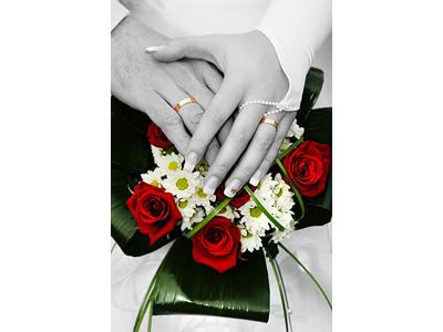 Fotosvět Plzeň foto 2