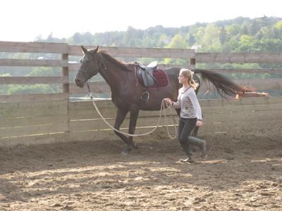 Stáj Karlštejn Cowley foto 3
