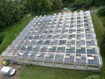 Zahradnictví LIMUZY foto 2