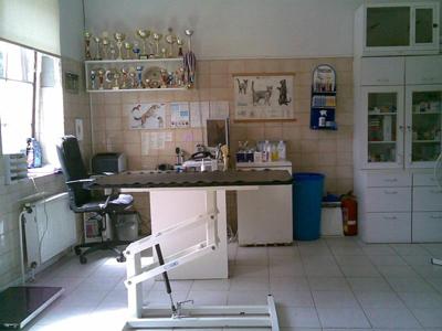 Veterinární klinika MVDr. Igora Beneše foto 2