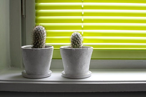 SOKOL žaluzie foto 3