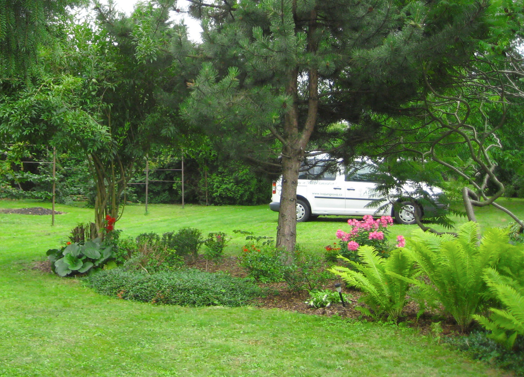 Květinový ateliér - Ing. Iva Jungrová foto 3