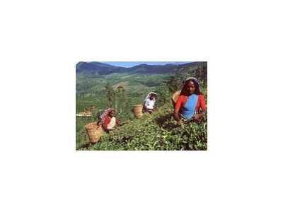 Jan Reitmaier foto 2