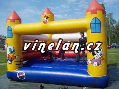 VINELAN foto 3