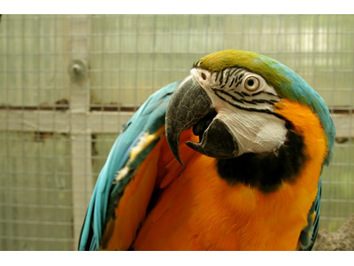 TROPIC HUKVALDY - Stanislav Rek foto 4