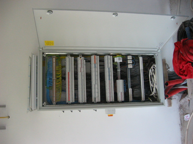 Strnad foto 3
