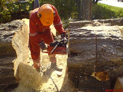 Ondřej Janovský - Zahradnické práce foto 2