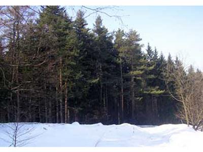 Proxima lesnická a dřevařská, a.s. foto 2