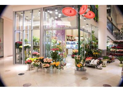 HOLANDSKÉ KVĚTINY, s.r.o. foto 4