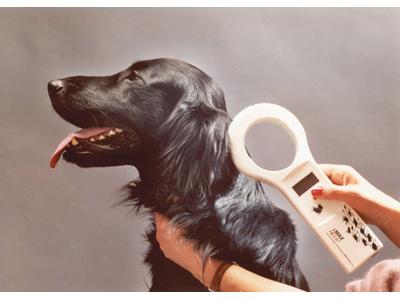 Národní registr majitelů zvířat foto 4