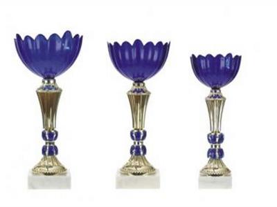 SPORTOVNÍ POHÁRY s.r.o. foto 4