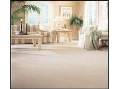 VH-clean Veronika Hallerová foto 2