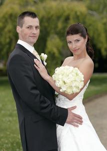 Bellis - květiny foto 2