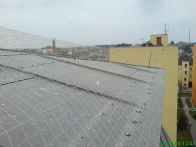 RADEXA foto 3