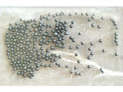 Czech AG holding, a.s. foto 2