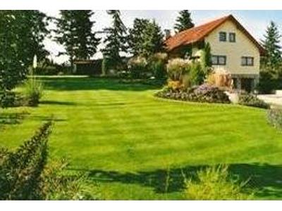 Michal Vránek foto 2