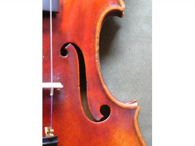 Daniel Berdych - houslařská dílna foto 3