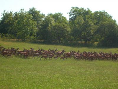 Penzion Na Radosti foto 2