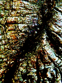 FOTOOBRAZY Monika foto 3