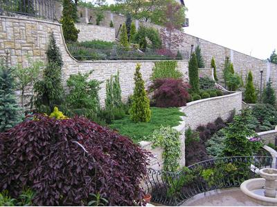 Zahradnické služby Knotek & Knotek foto 3