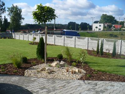 Jan Krajíček foto 1