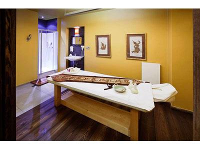 SABAI Slovanský dům foto 3