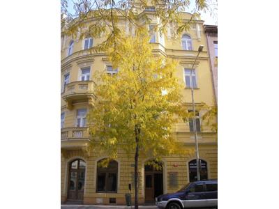Ovský & Partners, s.r.o. foto 2