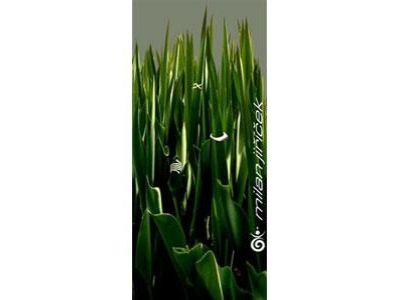 sperkyjiricek.cz foto 2