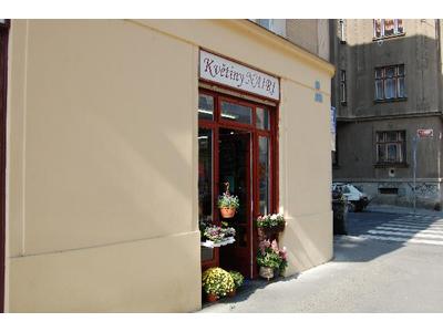 Květiny Nairi foto 2