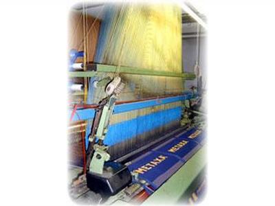FROLEN, LINEX- EXPORT foto 2