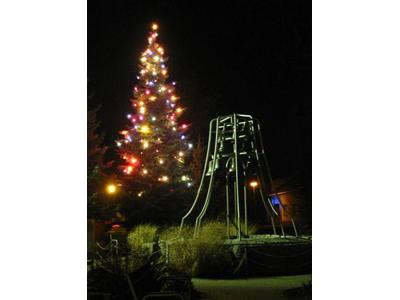 HOFMEISTER Jiří foto 4