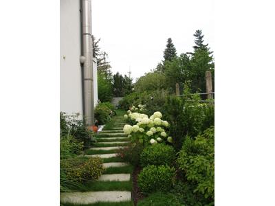 Ing. Petr Kosina foto 3